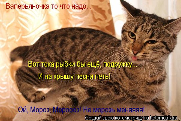 Котоматрица: Валерьяночка то что надо... Вот тока рыбки бы ещё, подружку... И на крышу песни петь! Ой, Мороз, Мороооз! Не морозь меняяяя!