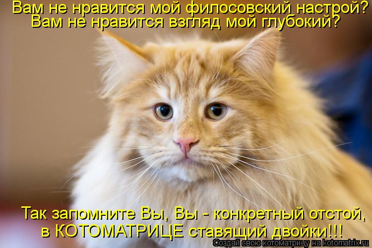 Котоматрица: Вам не нравится мой филосовский настрой? Вам не нравится взгляд мой глубокий? в КОТОМАТРИЦЕ ставящий двойки!!! Так запомните Вы, Вы - конкрет