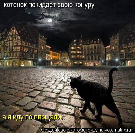 Котоматрица: котенок покидает свою конуру а я иду по площади...