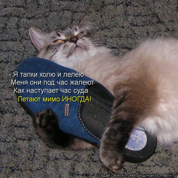 - Я тапки холю и лелею Меня они под час жалеют Как наступает час суда Летают мимо ИНОГДА!... Котоматрица: - Я тапки холю и лелею Меня они под час жалеют Как наступает час суда Летают мимо ИНОГДА!