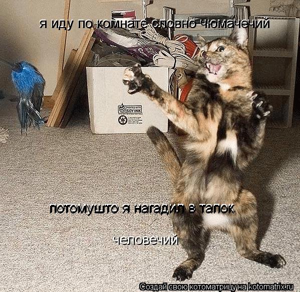 Котоматрица: я иду по комнате словно чюмачечий я иду по комнате словно чюмачечий потомушто я нагадил в тапок потомушто я нагадил в тапок человечий