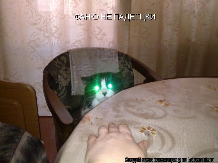 Котоматрица: ФАНЮ НЕ ПАДЕТЦКИ