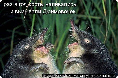 Котоматрица: раз в год кроты напивались  ... и вызывали Дюймовочек