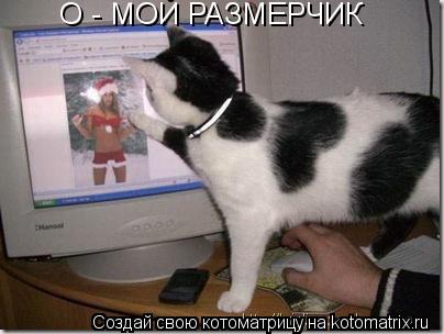 О - МОЙ РАЗМЕРЧИК... Котоматрица: О - МОЙ РАЗМЕРЧИК