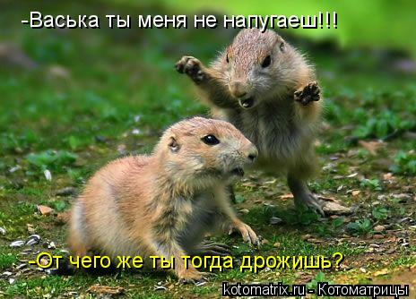 -Васька ты меня не напугаеш!!! -От чего же ты тогда дрожишь?... Котоматрица: -Васька ты меня не напугаеш!!! -От чего же ты тогда дрожишь?