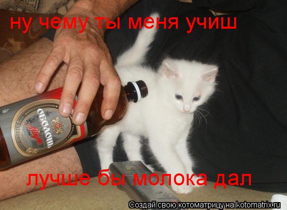 ну чему ты меня учиш лучше бы молока дал... Котоматрица: ну чему ты меня учиш лучше бы молока дал