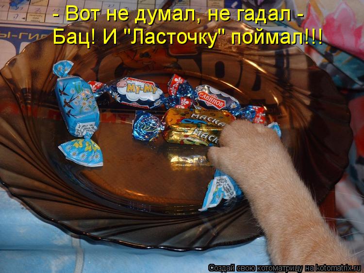 - Вот не думал, не гадал - Бац! И "Ласточку" поймал!!!... Котоматрица: - Вот не думал, не гадал - Бац! И "Ласточку" поймал!!!
