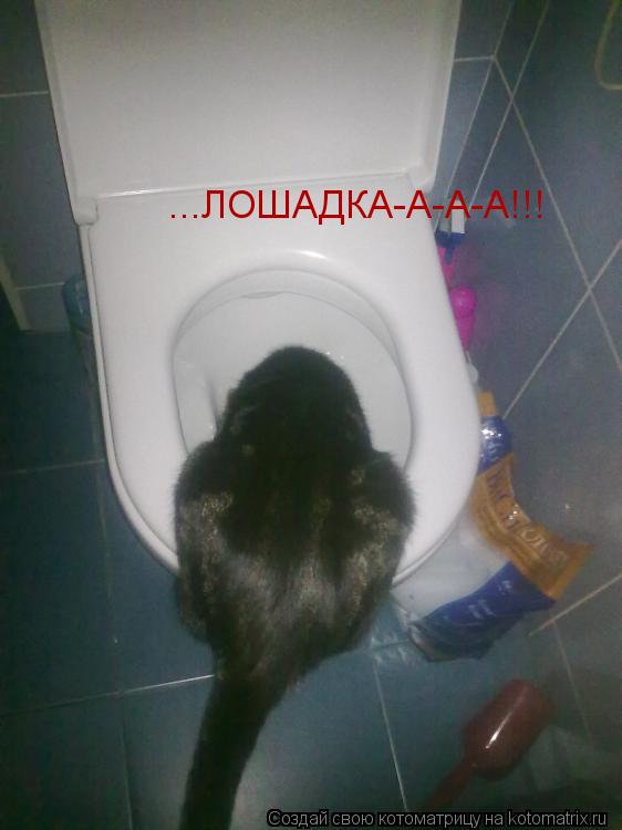 ...ЛОШАДКА-А-А-А!!!... Котоматрица: ...ЛОШАДКА-А-А-А!!!