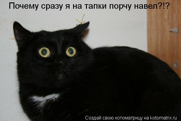 Почему сразу я на тапки порчу навел?!?... Котоматрица: Почему сразу я на тапки порчу навел?!?