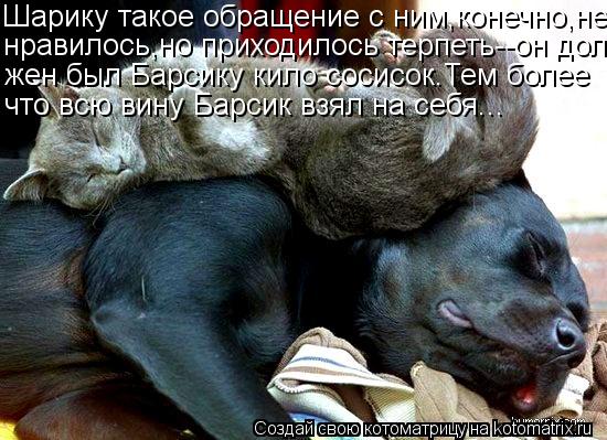 Шарику такое обращение с ним,конечно,не нравилось,но приходилось терпеть--он дол- жен был Барсику кил... Котоматрица: Шарику такое обращение с ним,конечно,не нравилось,но приходилось терпеть--он дол- жен был Барсику кило сосисок.Тем более что всю вину Барсик