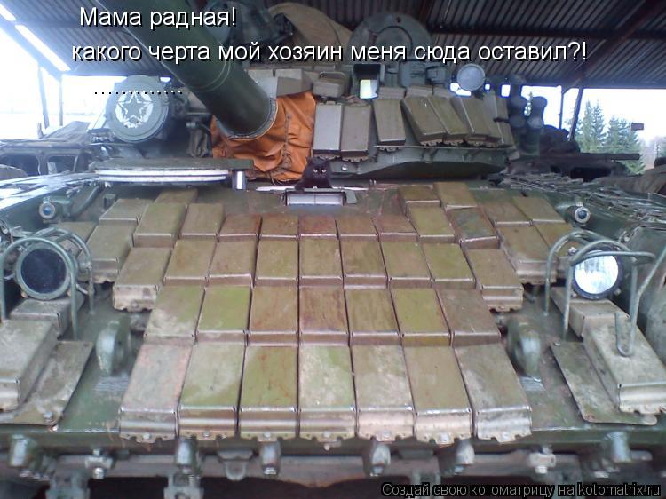 Мама радная! Мама радная! какого черта мой хозяин меня сюда оставил?! ................ Котоматрица: Мама радная! Мама радная! какого черта мой хозяин меня сюда оставил?! .............