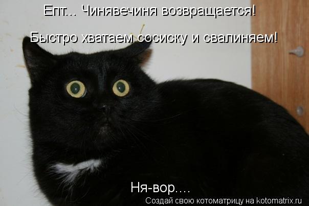 Епт... Чинявечиня возвращается! Быстро хватаем сосиску и свалиняем! Ня-вор....... Котоматрица: Епт... Чинявечиня возвращается! Быстро хватаем сосиску и свалиняем! Ня-вор....