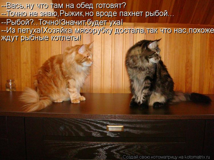 --Вась,ну что там на обед готовят? --Точно не знаю,Рыжик,но вроде пахнет рыбой... --Рыбой?..Точно!Зна... Котоматрица: --Вась,ну что там на обед готовят? --Точно не знаю,Рыжик,но вроде пахнет рыбой... --Рыбой?..Точно!Значит,будет уха! --Из петуха!Хозяйка мясорубку д