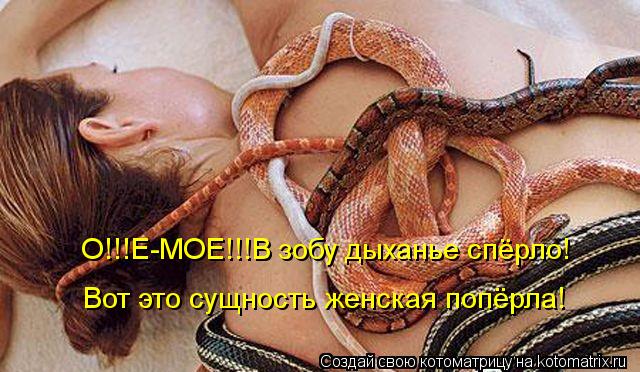 О!!!Е-МОЕ!!!В зобу дыханье спёрло! Вот это сущность женская попёрла!... Котоматрица: О!!!Е-МОЕ!!!В зобу дыханье спёрло! Вот это сущность женская попёрла!