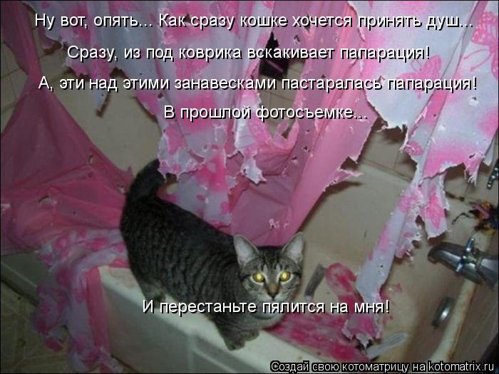 Ну вот, опять... Как сразу кошке хочется принять душ... Сразу, из под коврика вскакивает папарация! А... Котоматрица: Ну вот, опять... Как сразу кошке хочется принять душ... Сразу, из под коврика вскакивает папарация! А, эти над этими занавесками пастаралась па
