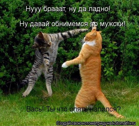 Нууу брааат, ну да ладно! Ну давай обнимемся по мужски! Вась! Ты что опять напился?... Котоматрица: Нууу брааат, ну да ладно! Ну давай обнимемся по мужски! Вась! Ты что опять напился?