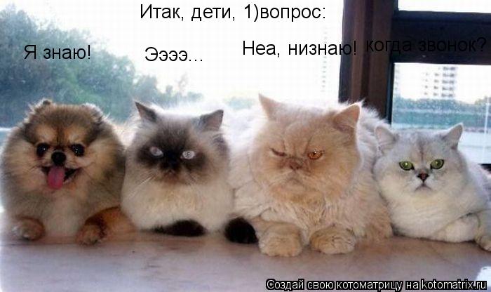 Итак, дети, 1)вопрос: Я знаю! Ээээ... Неа, низнаю! когда звонок?... Котоматрица: Итак, дети, 1)вопрос: Я знаю! Ээээ... Неа, низнаю! когда звонок?