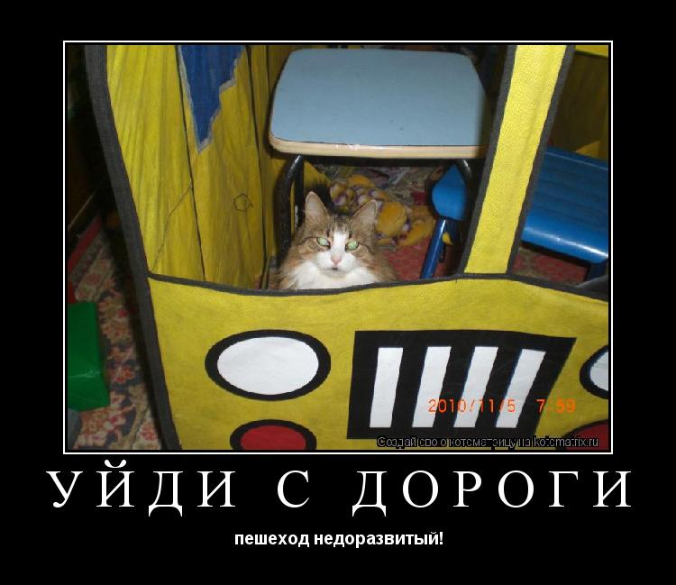 Уйди с дороги пешеход недоразвитый!... Котоматрица: Уйди с дороги пешеход недоразвитый!