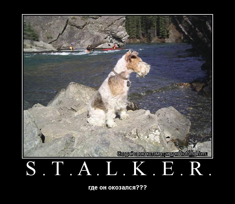 Котоматрица: S.T.A.L.K.E.R. где он окозался???