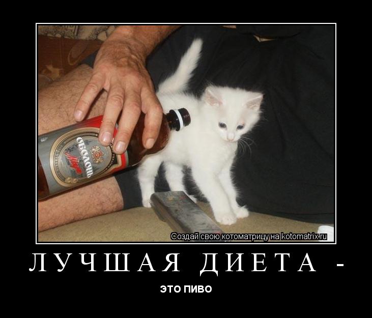 ЛУЧШАЯ ДИЕТА - ЭТО ПИВО ... Котоматрица: ЛУЧШАЯ ДИЕТА - ЭТО ПИВО