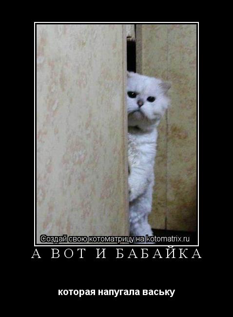 Котоматрица: а вот и бабайка которая напугала ваську
