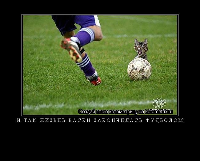Котоматрица: и так жизьнь васки закончилась фудболом 