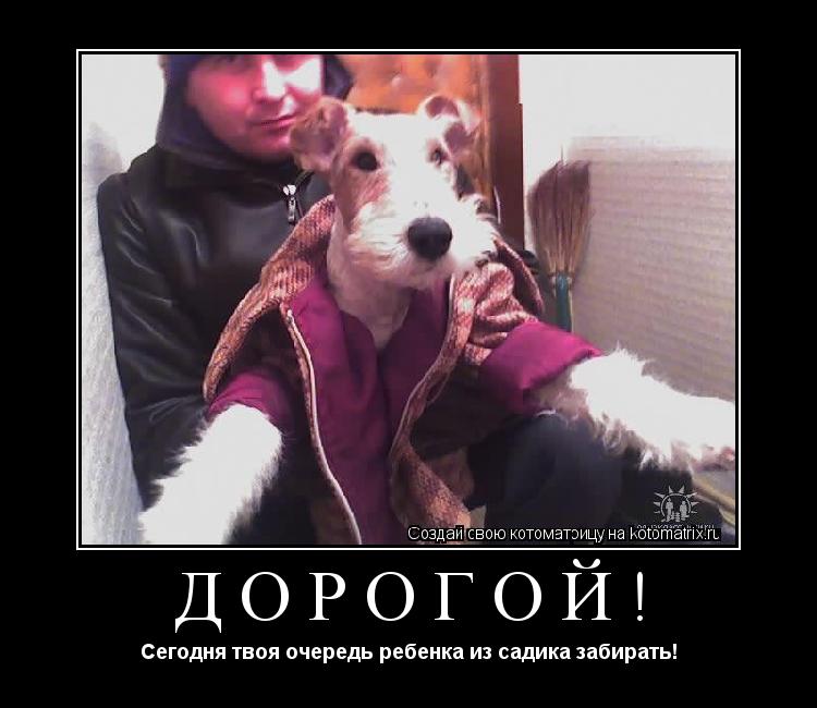 Котоматрица: Дорогой! Сегодня твоя очередь ребенка из садика забирать!