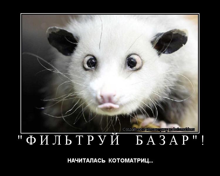 "ФИЛЬТРУЙ БАЗАР"! НАЧИТАЛАСЬ КОТОМАТРИЦ...... Котоматрица: "ФИЛЬТРУЙ БАЗАР"! НАЧИТАЛАСЬ КОТОМАТРИЦ...