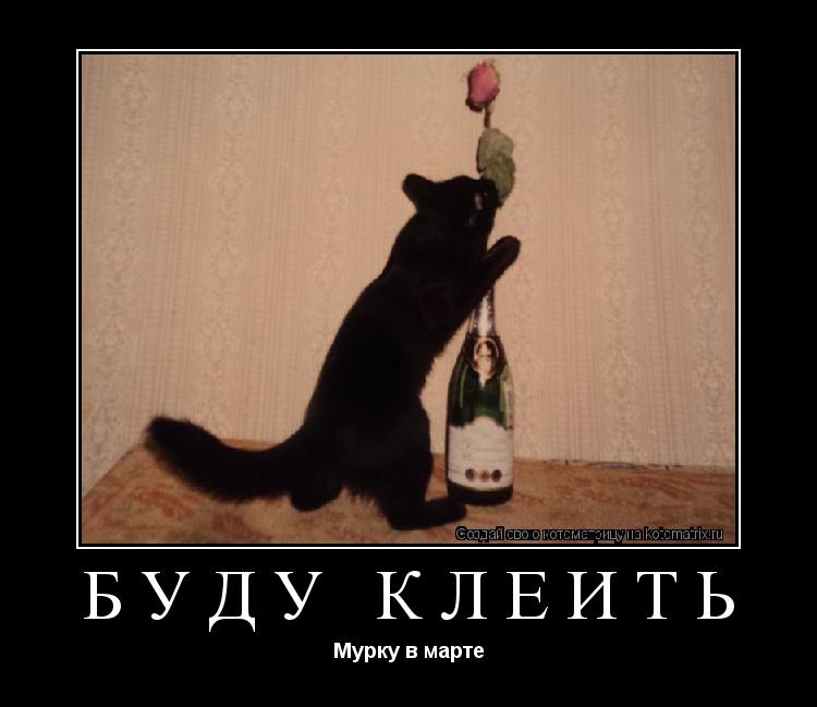 Буду клеить Мурку в марте... Котоматрица: Буду клеить Мурку в марте