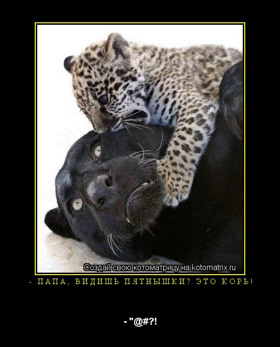Котоматрица: - Папа, видишь пятнышки? Это корь! - "@#?!