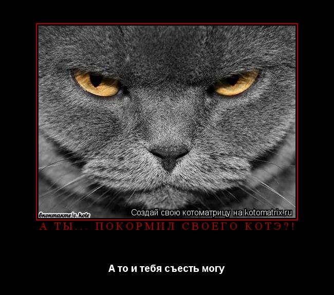 А ты... покормил своего котЭ?! А то и тебя съесть могу... Котоматрица: А ты... покормил своего котЭ?! А то и тебя съесть могу