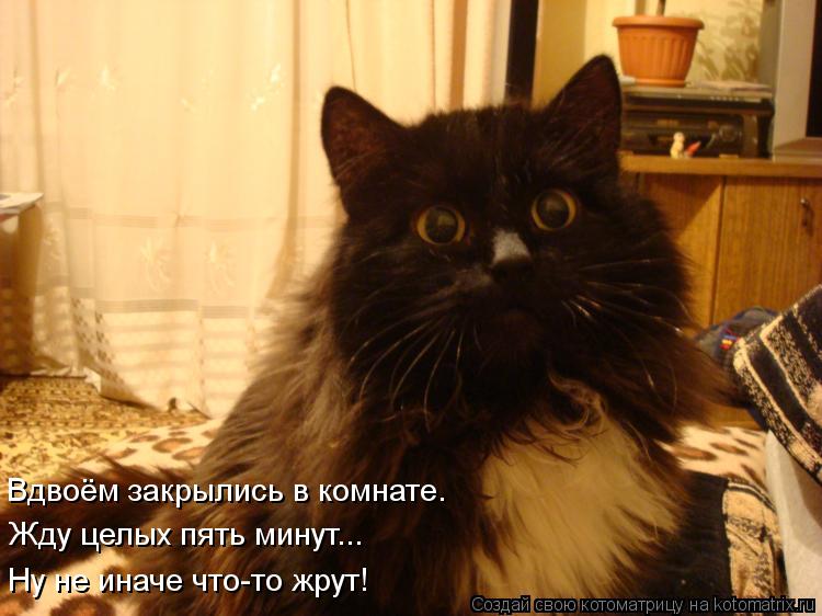 Вдвоём закрылись в комнате. Жду целых пять минут... Ну не иначе что-то жрут!... Котоматрица: Вдвоём закрылись в комнате. Жду целых пять минут... Ну не иначе что-то жрут!