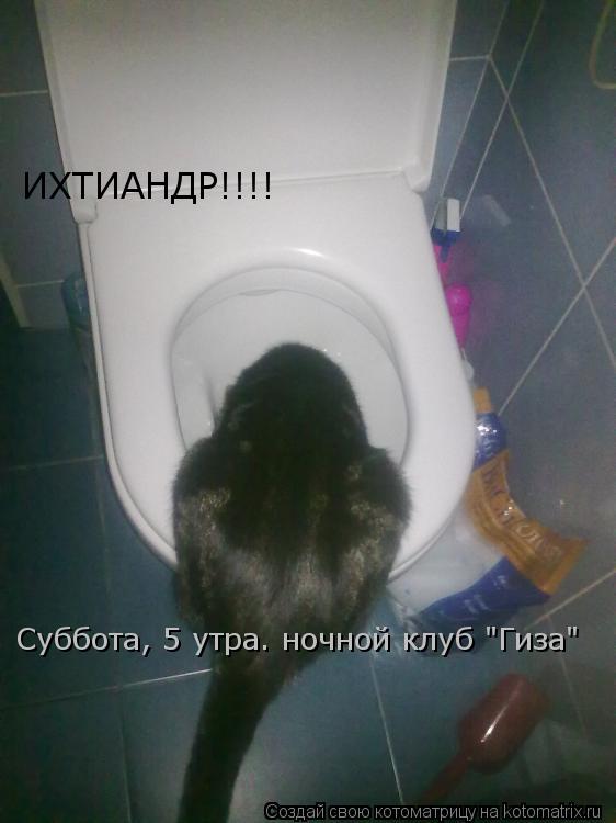ИХТИАНДР!!!! Суббота, 5 утра. ночной клуб "Гиза"... Котоматрица: ИХТИАНДР!!!! Суббота, 5 утра. ночной клуб "Гиза"
