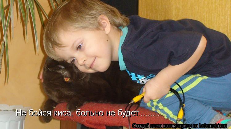 Не бойся киса, больно не будет............. Котоматрица: Не бойся киса, больно не будет..........