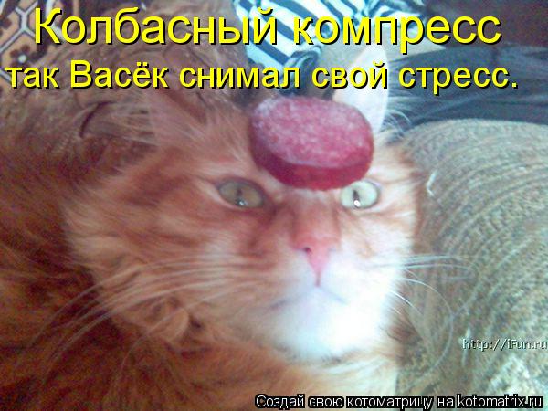 Колбасный компресс так Васёк снимал свой стресс.... Котоматрица: Колбасный компресс так Васёк снимал свой стресс.