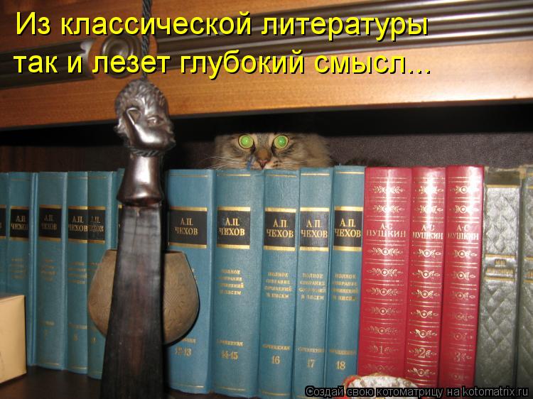 Котоматрица: Из классической литературы так и лезет глубокий смысл...