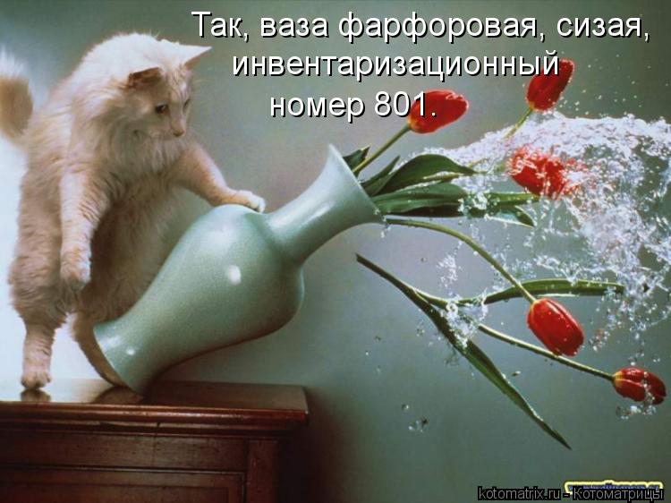 Котоматрица: Так, ваза фарфоровая, сизая, инвентаризационный номер 801.