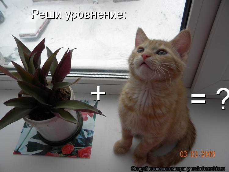 Котоматрица: Реши уровнение: + = ?