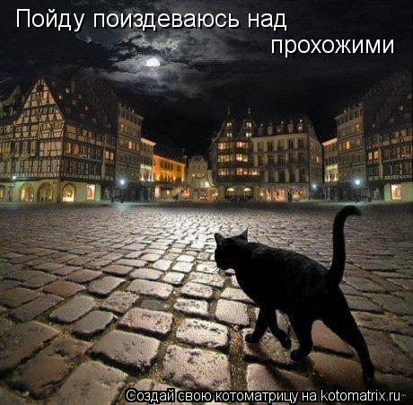 Котоматрица: Пойду поиздеваюсь над прохожими