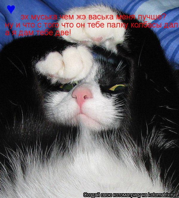 Котоматрица: эх муська чем жэ васька меня лучше? ну и что с того что он тебе палку колбасы дал а я дам тебе две!