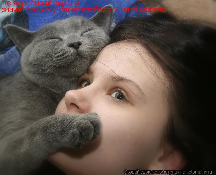 Котоматрица: не перебивай короля значит так хочу палку колбасы и литр молока