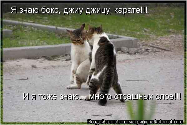 Котоматрица: Я знаю бокс, джиу джицу, карате!!! И я тоже знаю... много страшных слов!!!