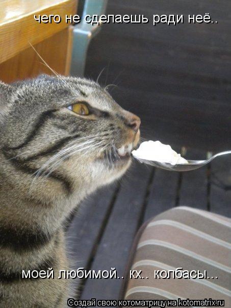 Котоматрица: чего не сделаешь ради неё..  моей любимой.. кх.. колбасы...