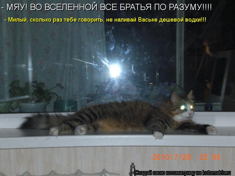 - Милый, сколько раз тебе говорить, не наливай Ваське дешевой водки!!! - МЯУ! ВО ВСЕЛЕННОЙ ВСЕ БРАТЬЯ... Котоматрица: - Милый, сколько раз тебе говорить, не наливай Ваське дешевой водки!!! - МЯУ! ВО ВСЕЛЕННОЙ ВСЕ БРАТЬЯ ПО РАЗУМУ!!!!