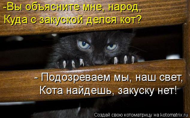 -Вы объясните мне, народ, Куда с закуской делся кот? - Подозреваем мы, наш свет, Кота найдешь, закус... Котоматрица: -Вы объясните мне, народ, Куда с закуской делся кот? - Подозреваем мы, наш свет, Кота найдешь, закуску нет!