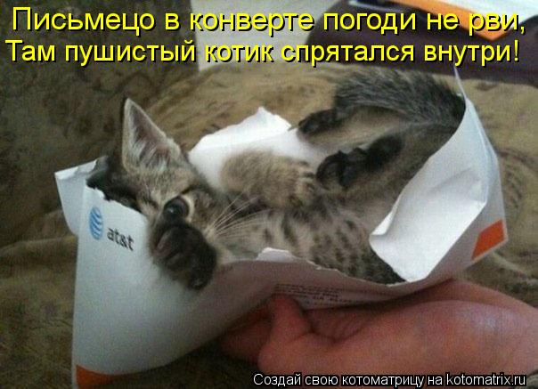 Письмецо в конверте погоди не рви, Там пушистый котик спрятался внутри!... Котоматрица: Письмецо в конверте погоди не рви, Там пушистый котик спрятался внутри!