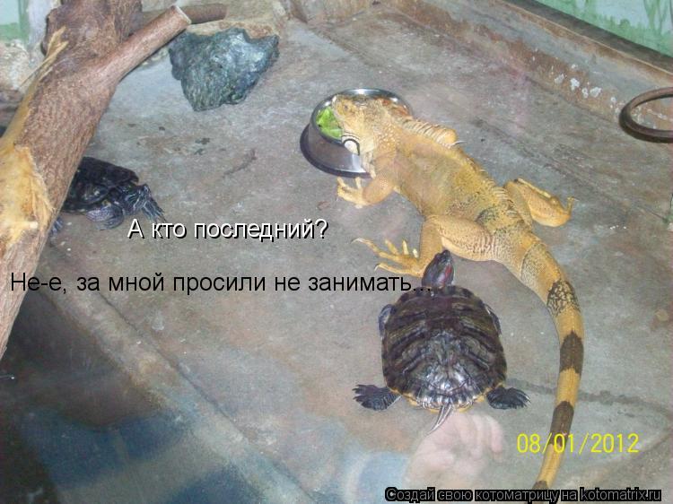 А кто последний? Не-е, за мной просили не занимать...... Котоматрица: А кто последний? Не-е, за мной просили не занимать...