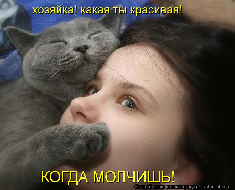 хозяйка! какая ты красивая! КОГДА МОЛЧИШЬ!... Котоматрица: хозяйка! какая ты красивая! КОГДА МОЛЧИШЬ!