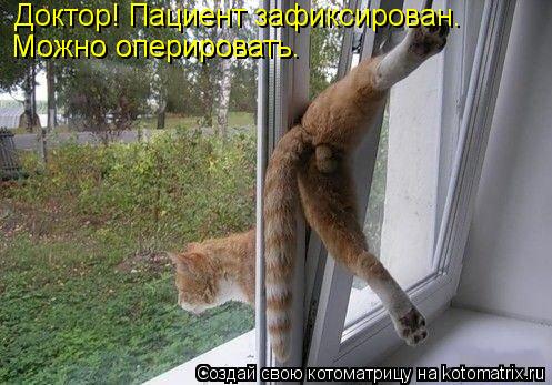 Доктор! Пациент зафиксирован. Можно оперировать. Можно оперировать.... Котоматрица: Доктор! Пациент зафиксирован. Можно оперировать. Можно оперировать.