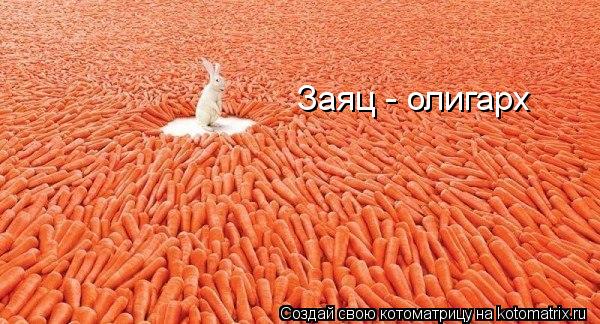Заяц - олигарх... Котоматрица: Заяц - олигарх
